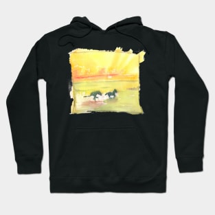 Sun splash Hoodie